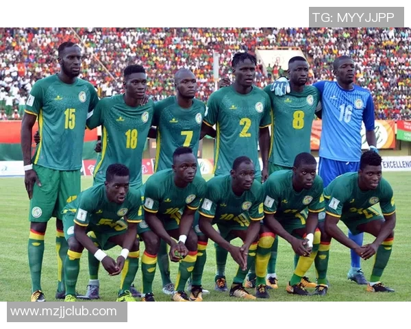 喀麦隆足球队的辉煌历程与未来展望：非洲足球的骄傲与希望